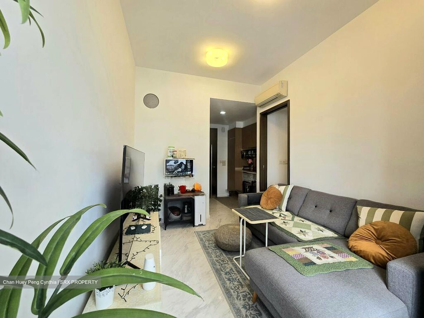 Spottiswoode 18 (D2), Apartment #500662291